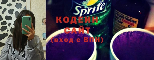 мдпв Елизово