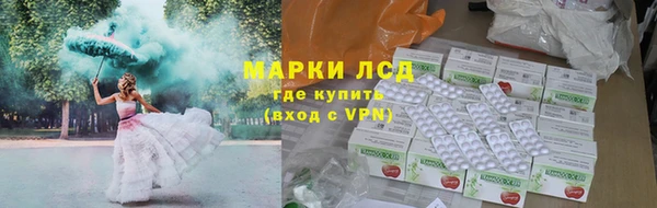 прущие грибы Ельня