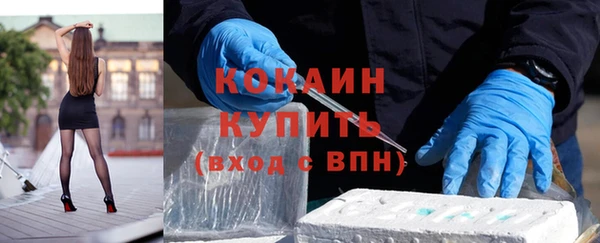 прущие грибы Ельня