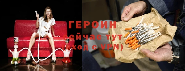 прущие грибы Ельня