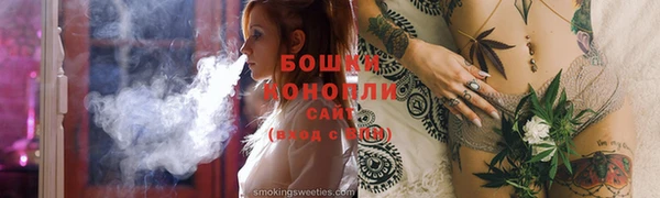 spice Елабуга