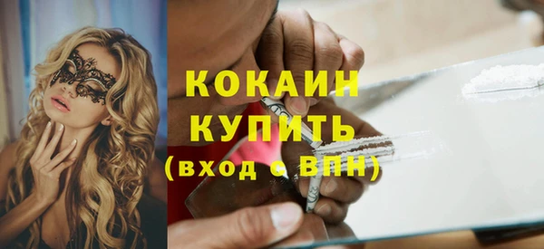 прущие грибы Ельня