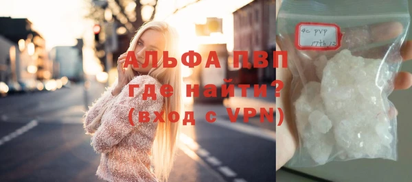 прущие грибы Ельня