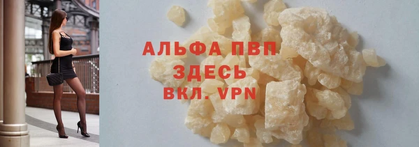 прущие грибы Ельня