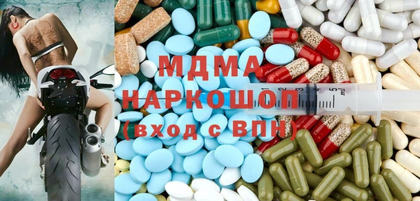 прущие грибы Ельня