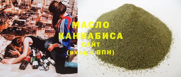 прущие грибы Ельня