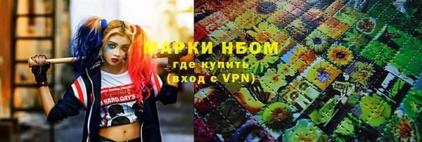 мдпв Елизово