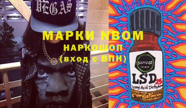 прущие грибы Ельня