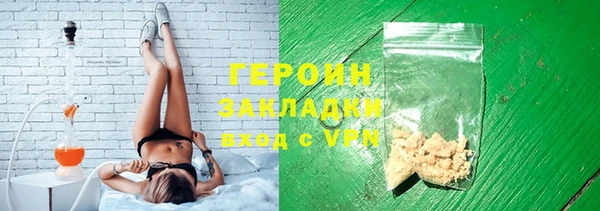 прущие грибы Ельня