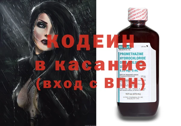 прущие грибы Ельня