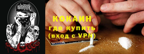 прущие грибы Ельня
