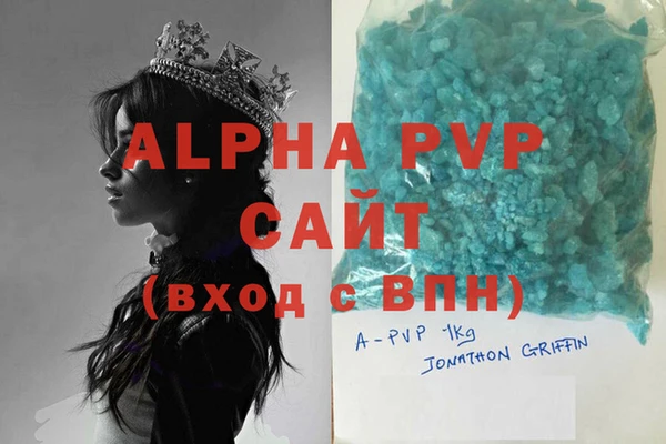 прущие грибы Ельня